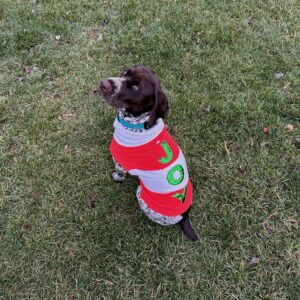 christmas-joy-sweater