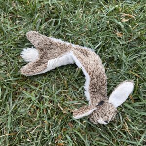 floppy-bunny-with-squeaker