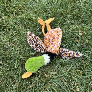floppy-duck-with-squeaker