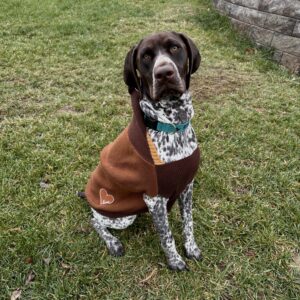 brown-sweater-with-bear-hood