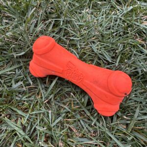 orange-squeaky-bone