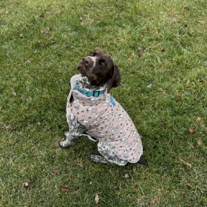 peanuts-snoopy-puffer-jacket