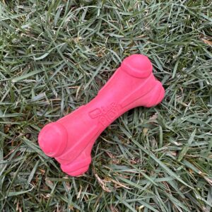 pink-squeaky-bone