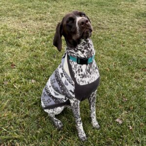 gray-sweater-with-raccoon-hood