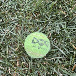tennis-ball